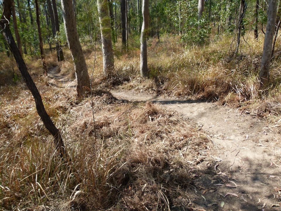 New trail above the old creek crossing